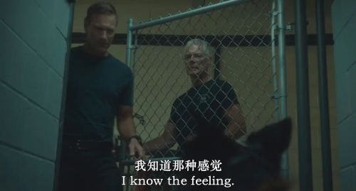 神探忠犬