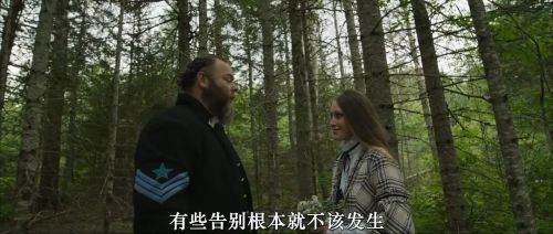 内战圣伯纳犬