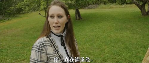 内战圣伯纳犬