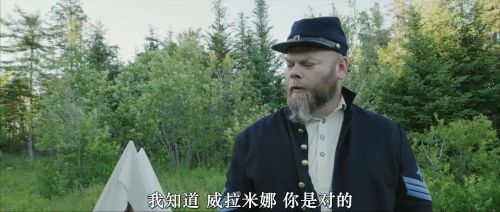 内战圣伯纳犬
