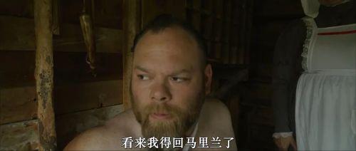 内战圣伯纳犬