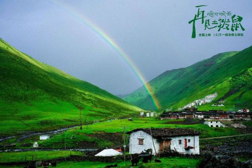 再见土拨鼠