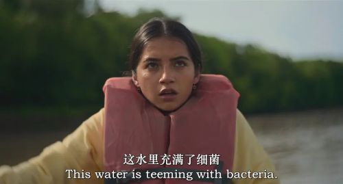 刨根问底