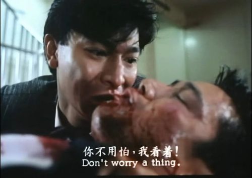 傲气雄鹰