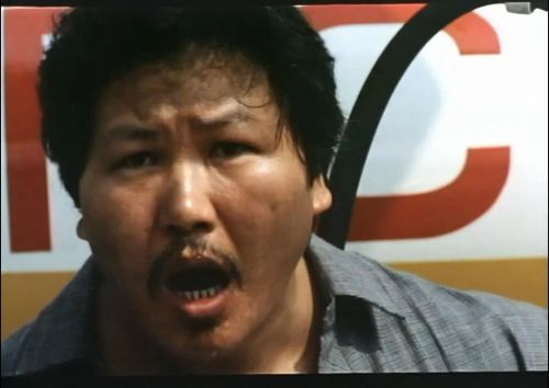 傲气雄鹰