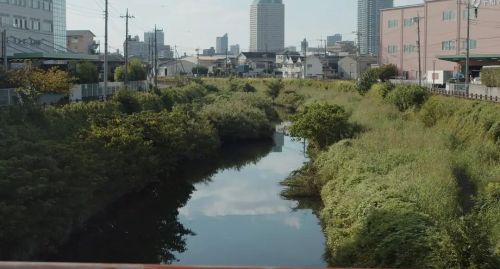 公园的沙地