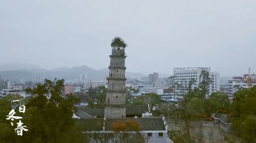 一日冬春