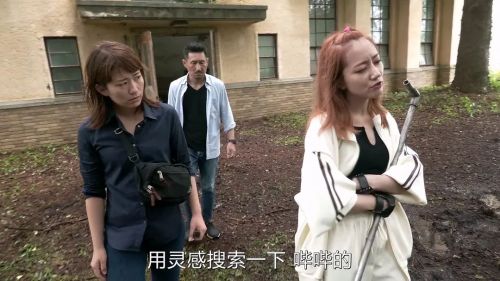 战栗怪奇世界：惊吓！