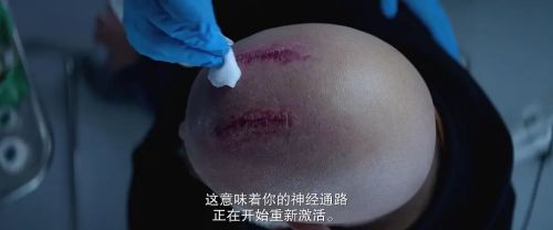 沉睡烈犬