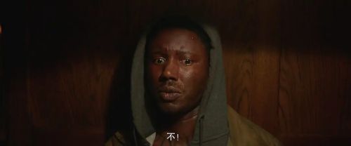 沉睡烈犬