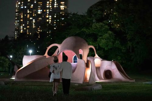 纳米比亚的沙漠 ナミビアの砂漠