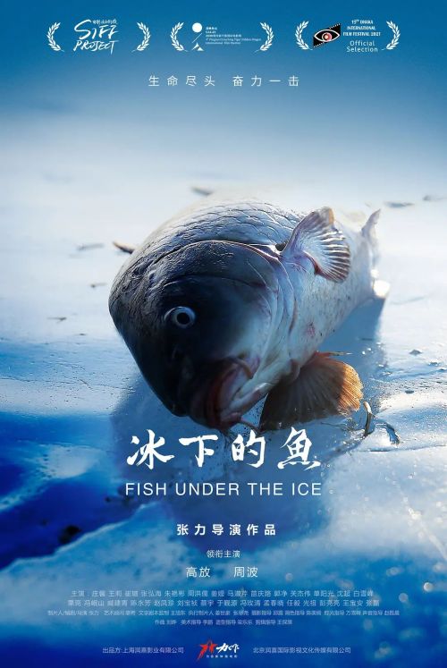 冰下的鱼