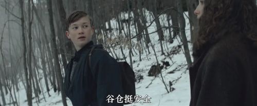 白鸟：奇迹