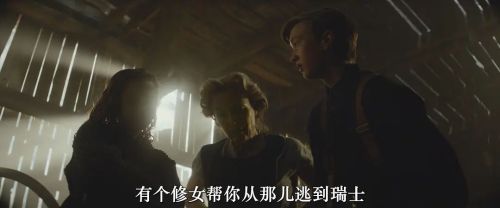 白鸟：奇迹