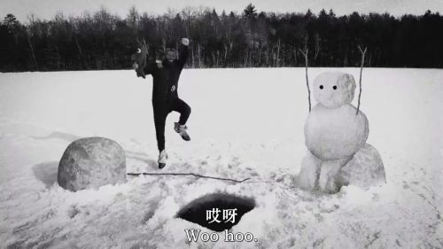 这很河狸