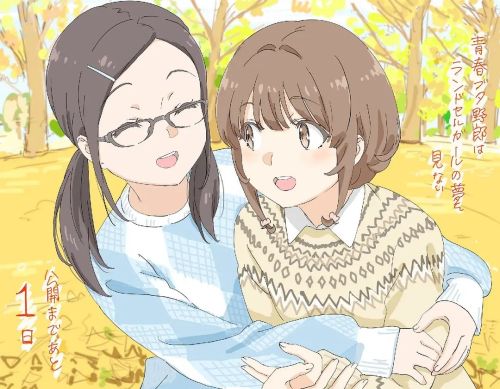 青春猪头少年不会梦到红书包女孩
