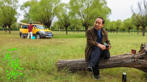 一片绿洲