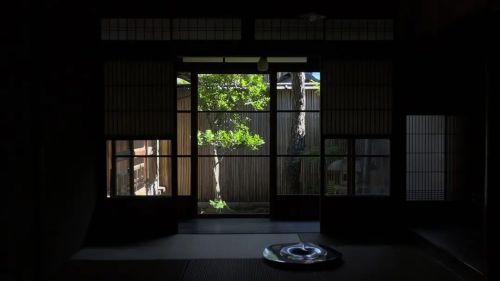 阴翳礼赞