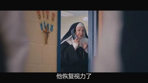 猫狗大乱斗