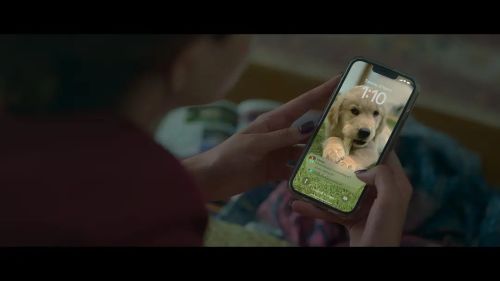 我们的虚实人生