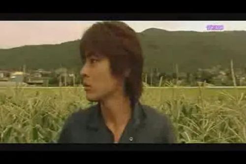 Jenifa泪石之恋