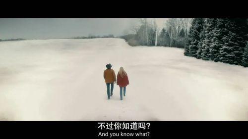 猫头鹰市中心