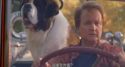 无敌当家5