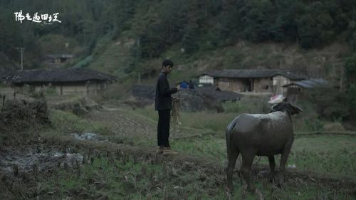 佛走过田埂