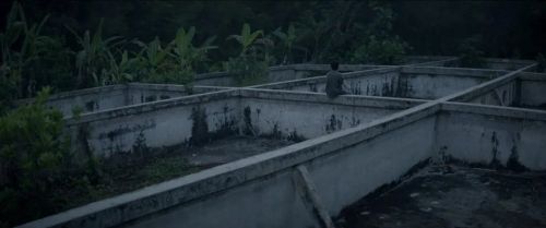 他的自传