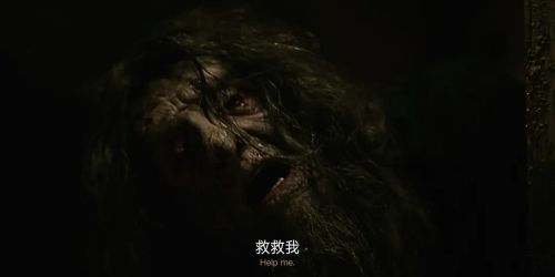 艾米利亚的孩子