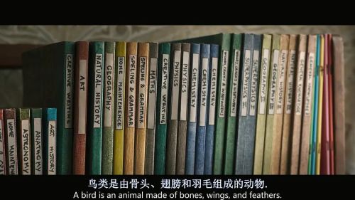 家庭教育