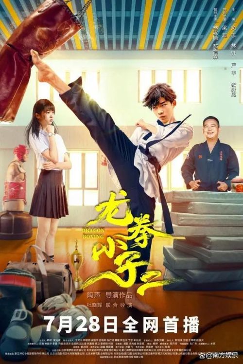 龙拳小子2