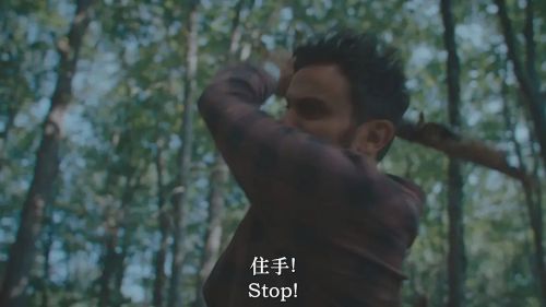 血嗜森林
