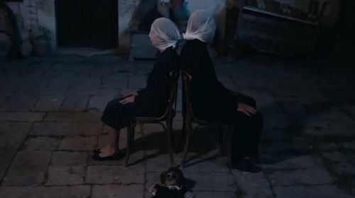 西辛5