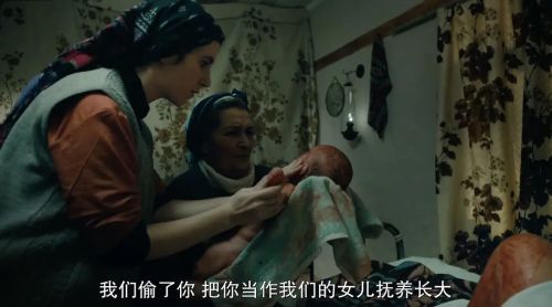 西辛2