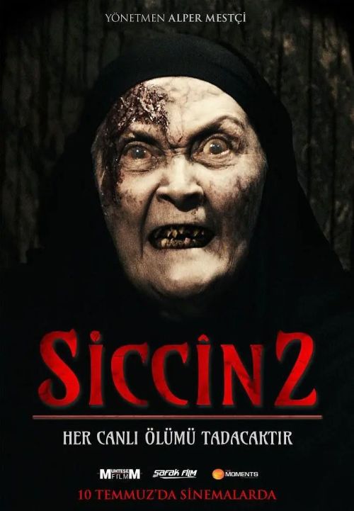 西辛2