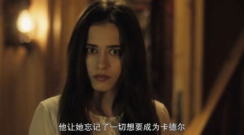 西辛3