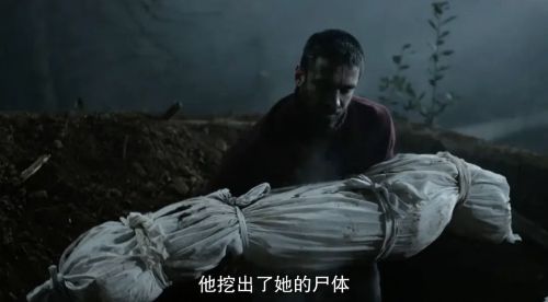 西辛3