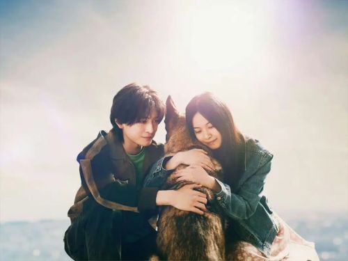 少年与犬