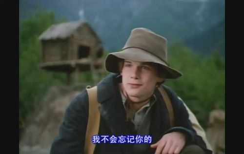 雪地黄金犬