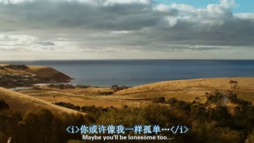 男孩们回来了