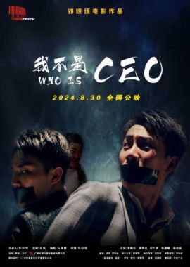 我不是CEO