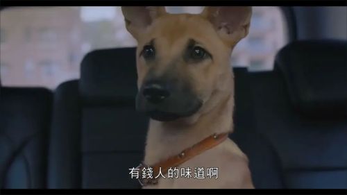 人生清理员