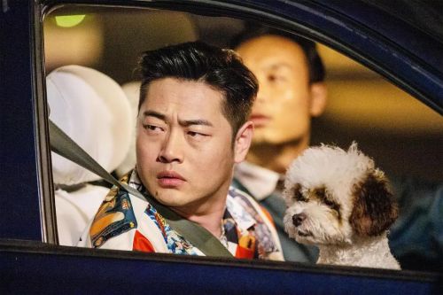 麻辣兄弟之疯狂一夜
