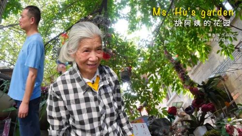 胡阿姨的花园