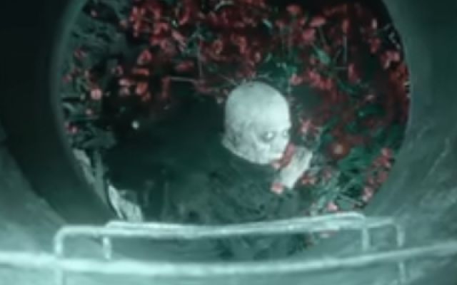 《狂野时代》发布“视觉”篇章预告