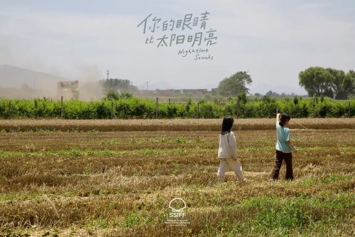你的眼睛比太阳明亮
