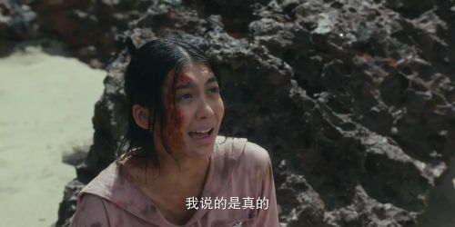 宿主