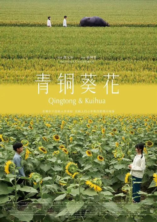 青铜葵花