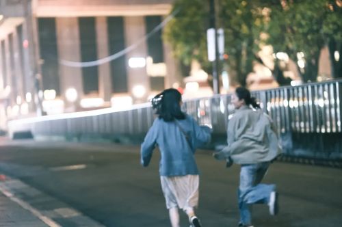 树冠羞避